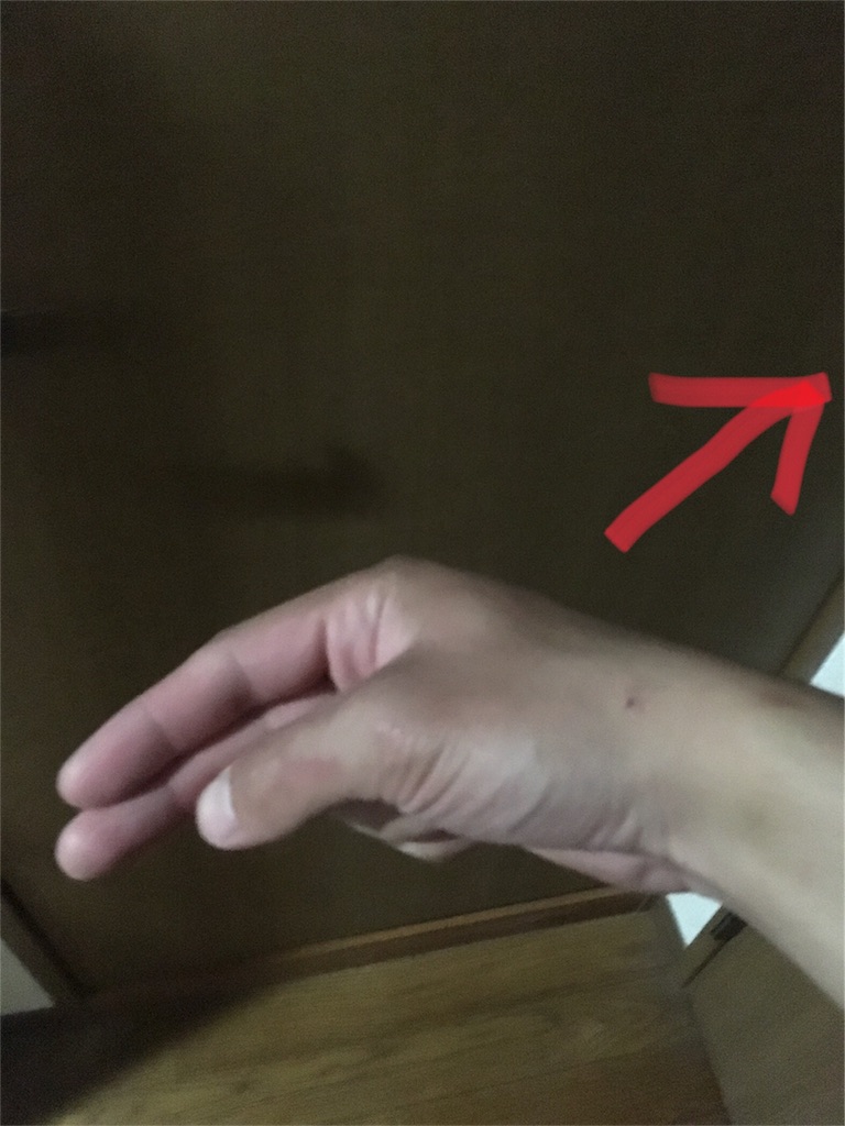 f:id:kyudoo:20191111205403j:image f:id:kyudoo:20191111205403j:image