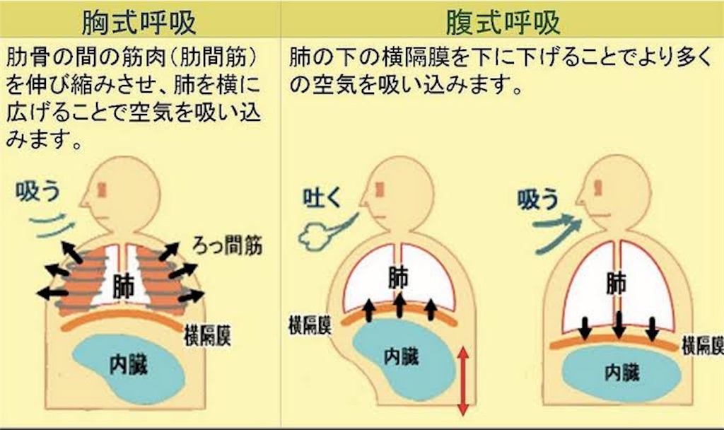 f:id:kyudox_short:20191118164231j:image