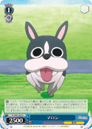 f:id:kyui_jugem:20180821235940g:plain