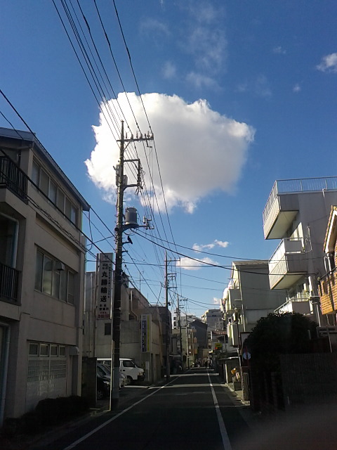 f:id:kyukakunonibuiinu148:20190123151036j:image
