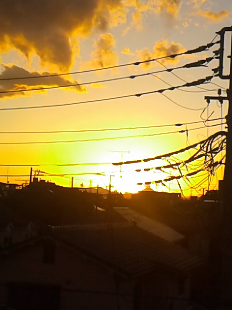 f:id:kyukakunonibuiinu148:20190123151359j:image