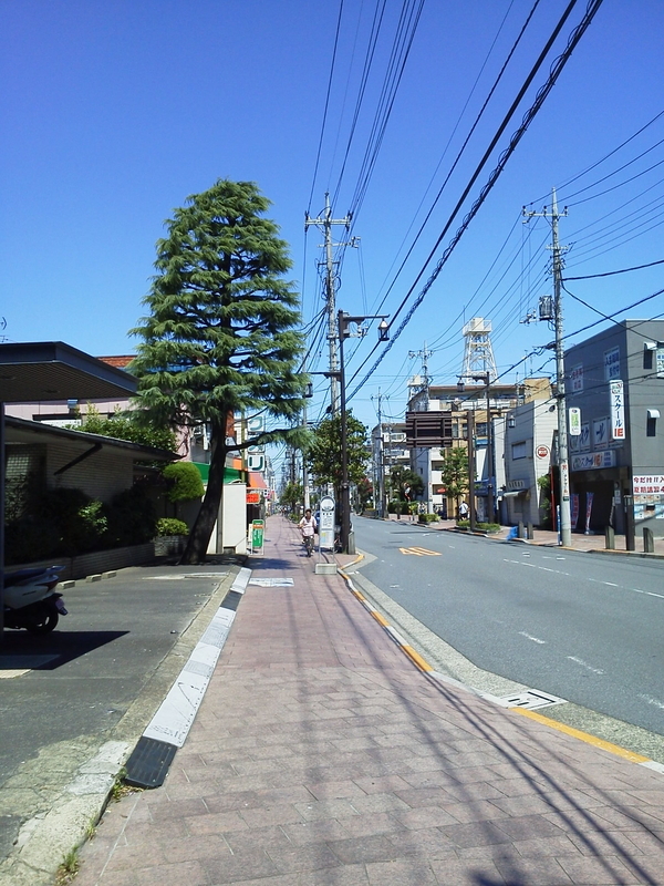 f:id:kyukakunonibuiinu148:20190123151403j:image