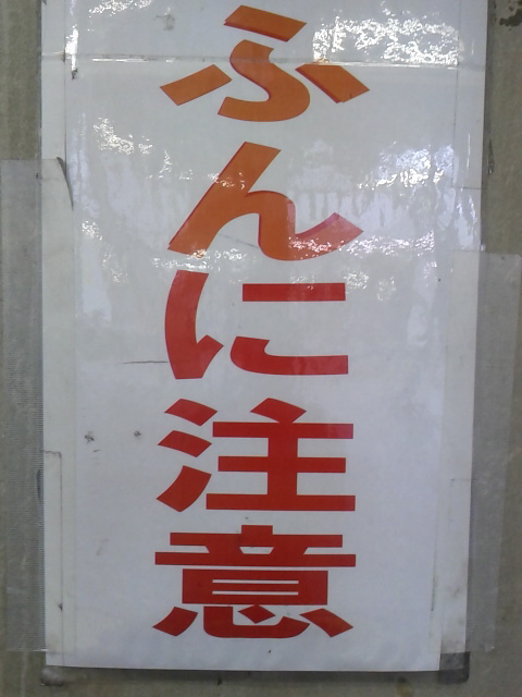 f:id:kyukakunonibuiinu148:20190128125339j:image