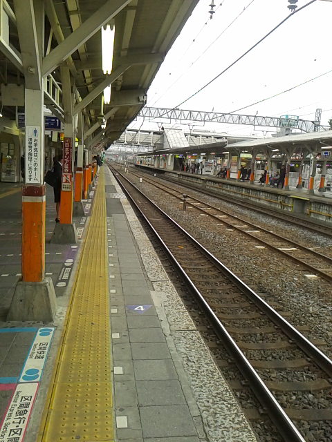 f:id:kyukakunonibuiinu148:20190128125346j:image
