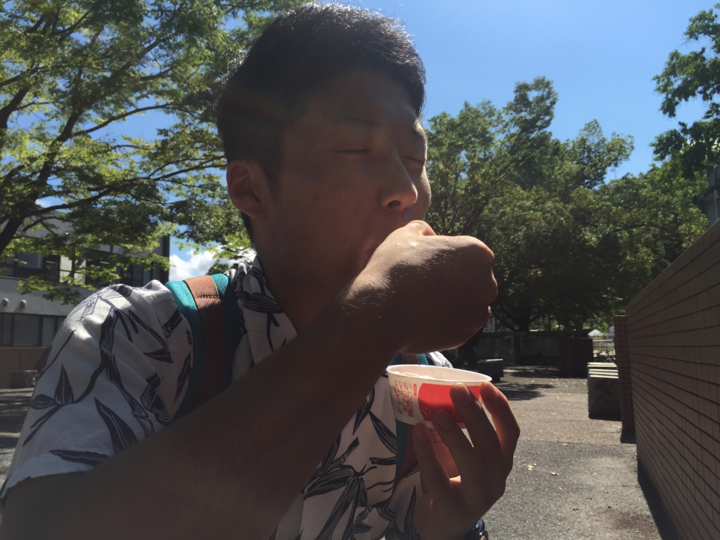 f:id:kyuma-morita:20160708231926j:plain f:id:kyuma-morita:20160708231926j:plain