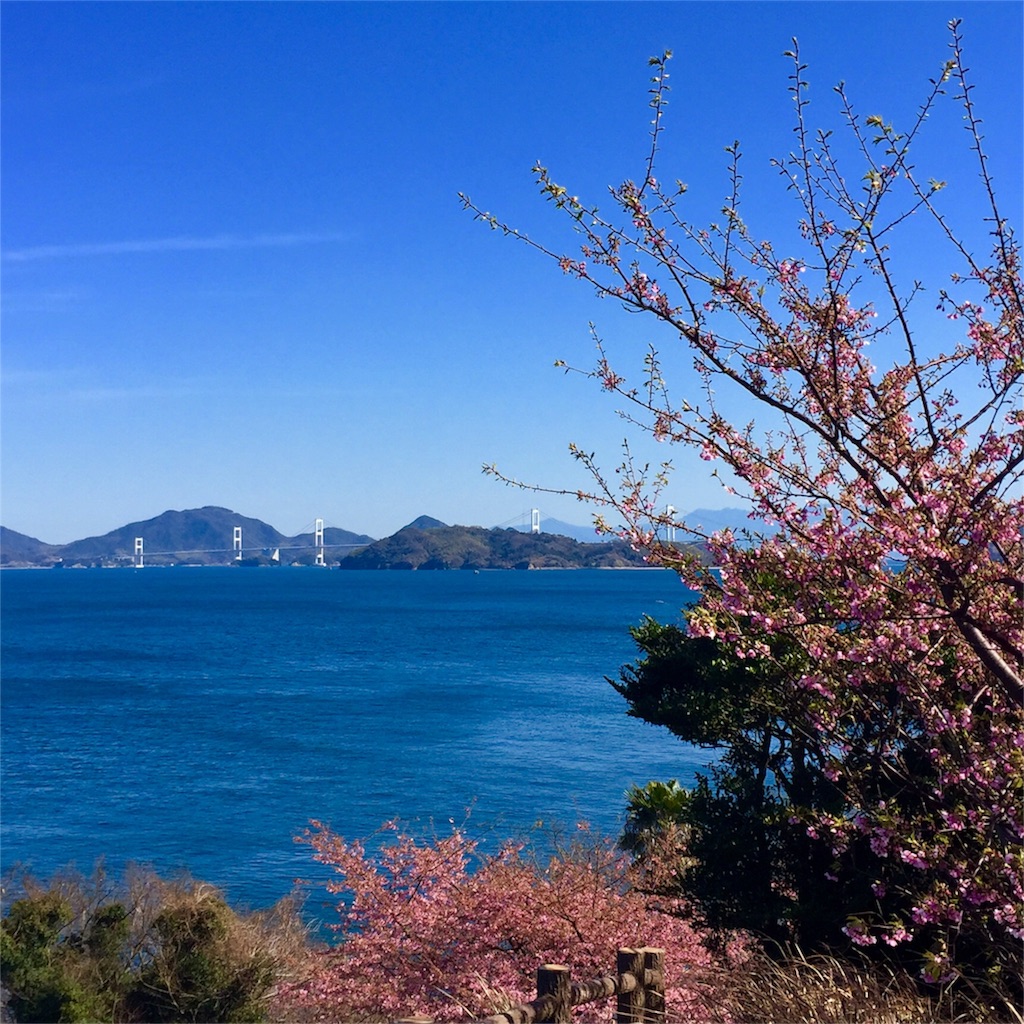 f:id:kyumitama:20170219171912j:image f:id:kyumitama:20170219171912j:image