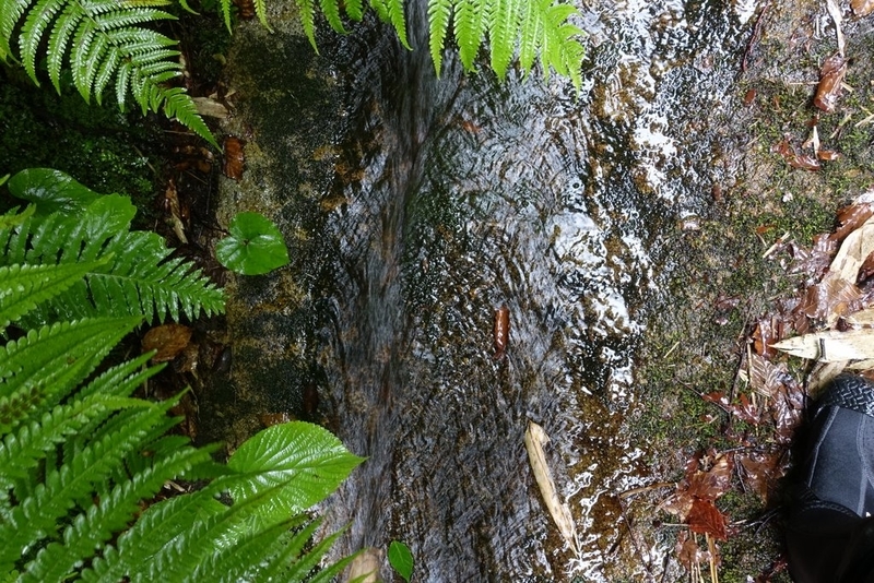 04dsc00577 04dsc00577