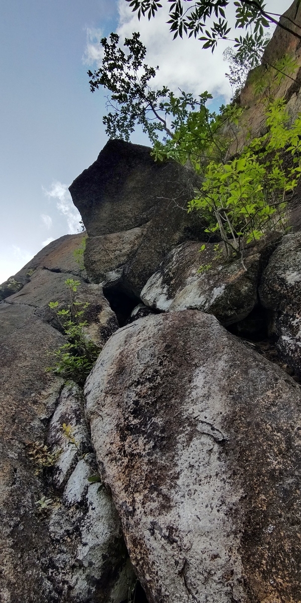 f:id:kyusyu-climbing:20210808211559j:plain