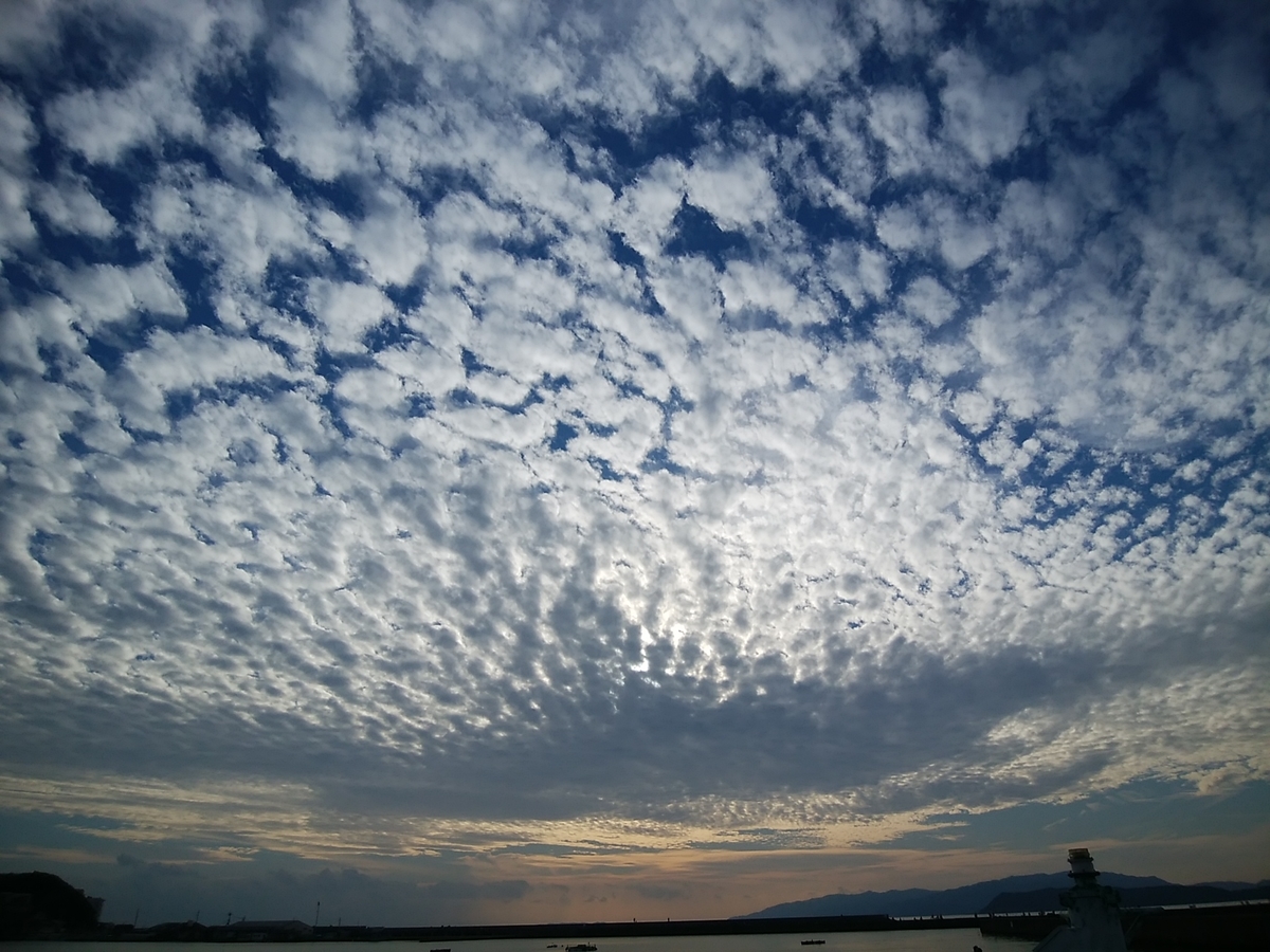 f:id:kyuuriotoko:20201025182823j:plain f:id:kyuuriotoko:20201025182823j:plain