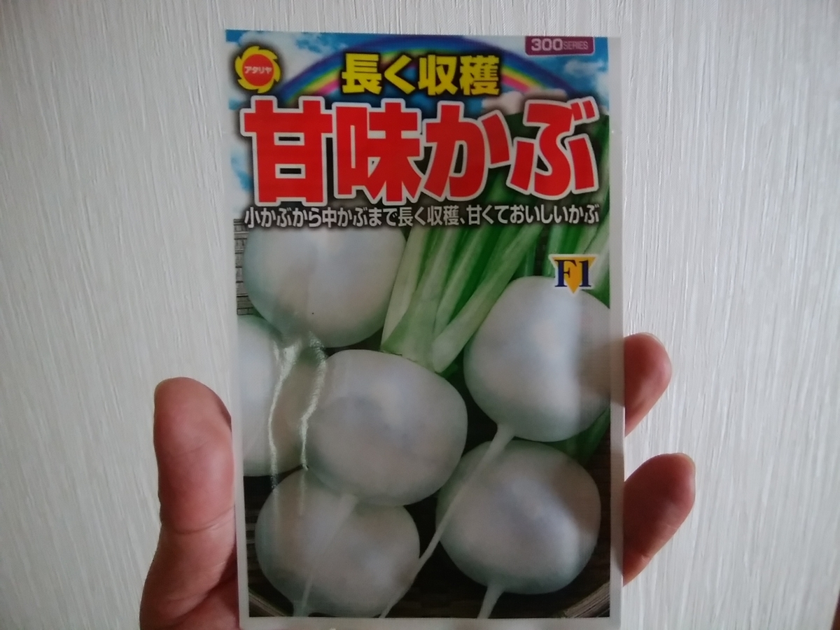 f:id:kyuuriotoko:20201123163700j:plain