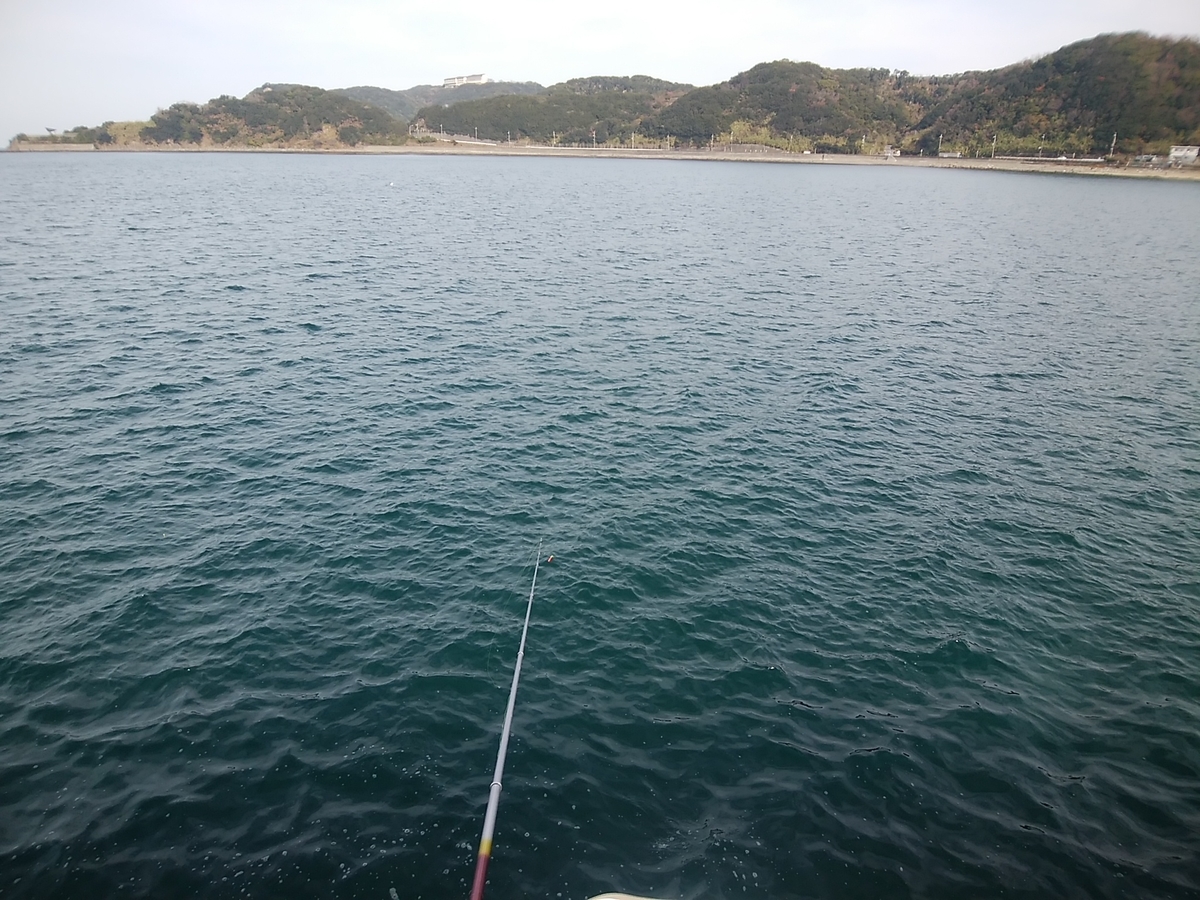 f:id:kyuuriotoko:20201231101518j:plain