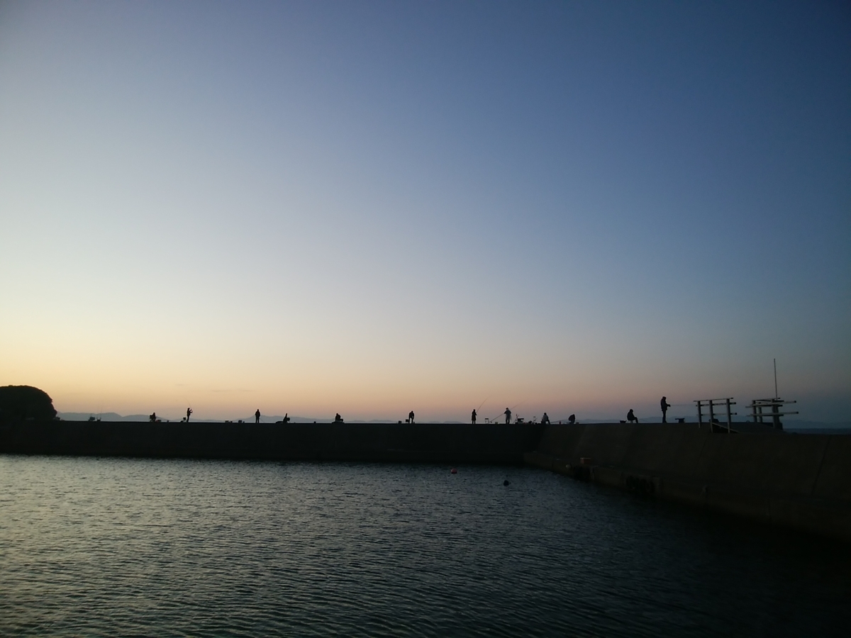 f:id:kyuuriotoko:20211119181055j:plain