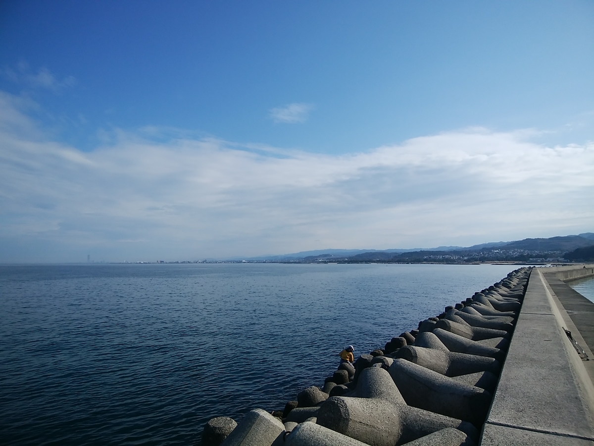 f:id:kyuuriotoko:20220103111553j:plain