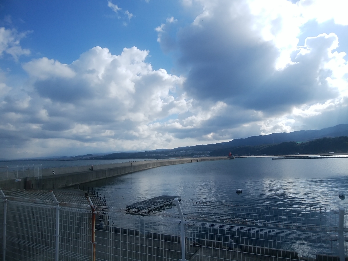 f:id:kyuuriotoko:20220121132641j:plain
