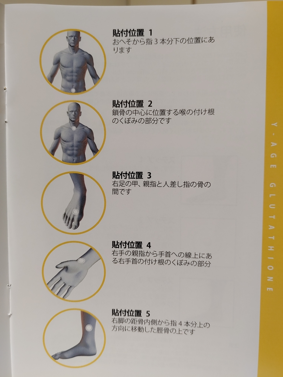 f:id:kywwave:20210323232337j:plain