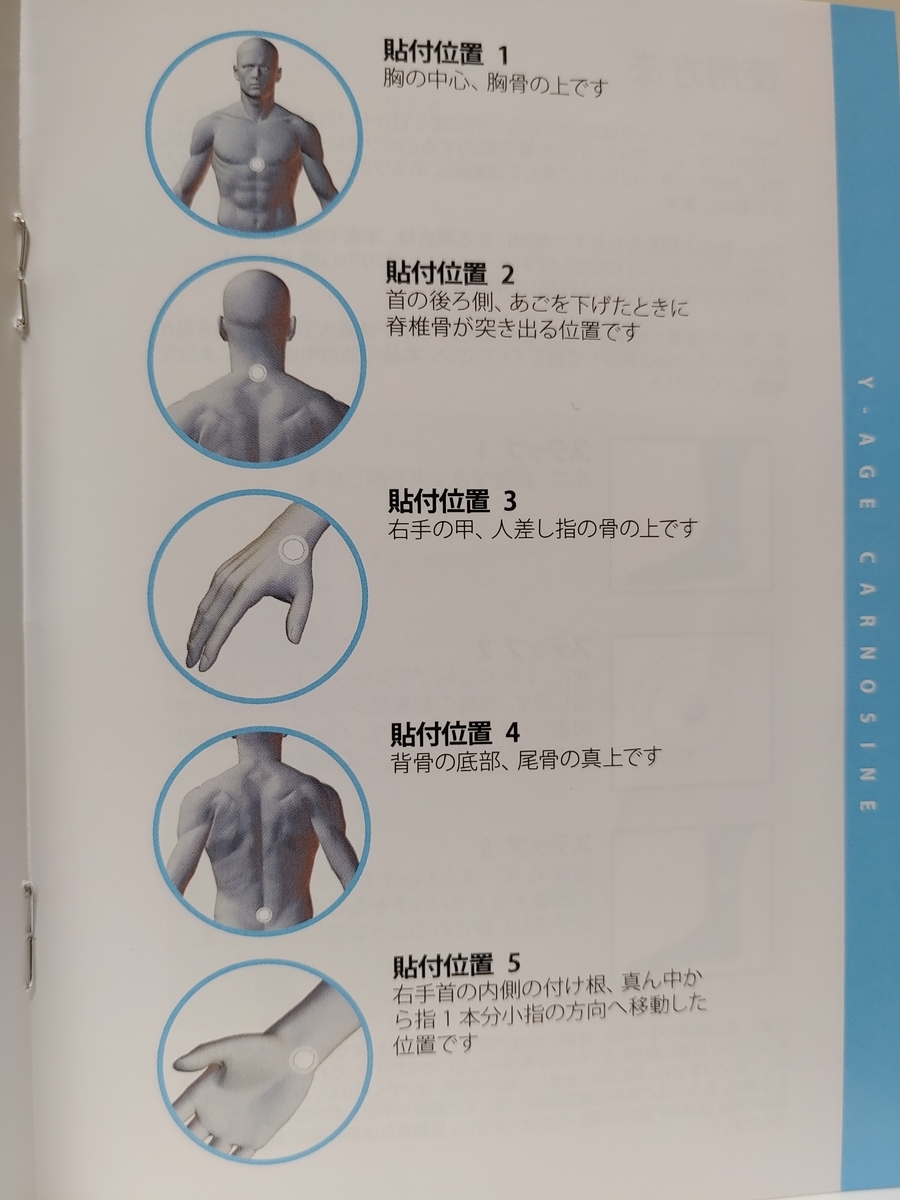 f:id:kywwave:20210324064513j:plain