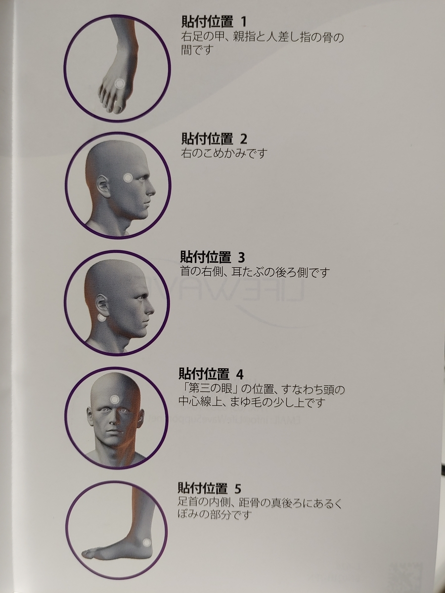 f:id:kywwave:20210324064844j:plain