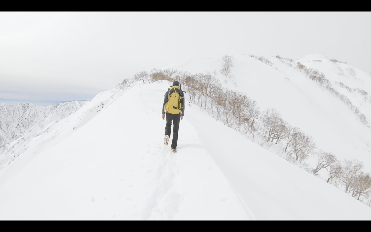 f:id:kz-920-y:20200217165617p:plain