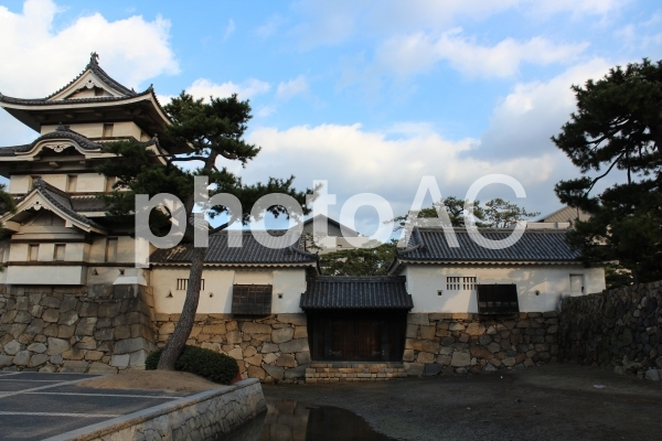 f:id:kz-photo:20200303181326p:plain