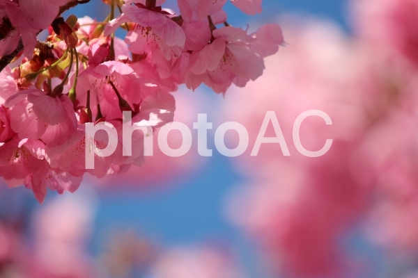 f:id:kz-photo:20200328110221p:plain