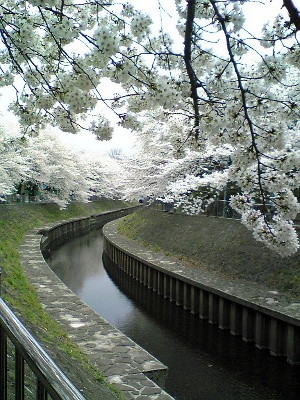 f:id:kzecruel:20080330115400j:image f:id:kzecruel:20080330115400j:image