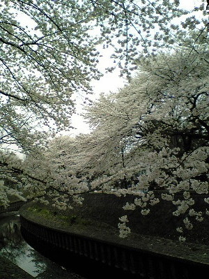 f:id:kzecruel:20080330122600j:image f:id:kzecruel:20080330122600j:image