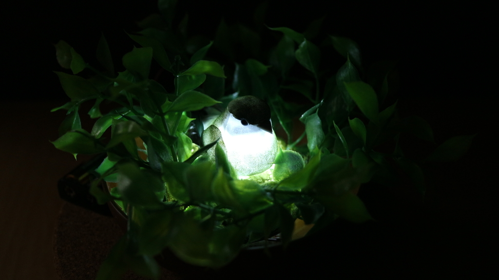 f:id:kzi-workshop:20190127134438j:plain