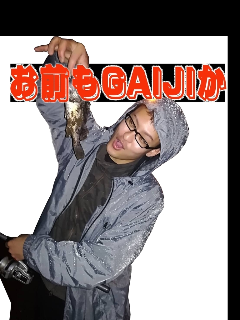 f:id:kzk-incx:20190301185054j:plain