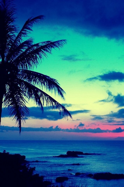 f:id:kzkzab:20240708045325j:image