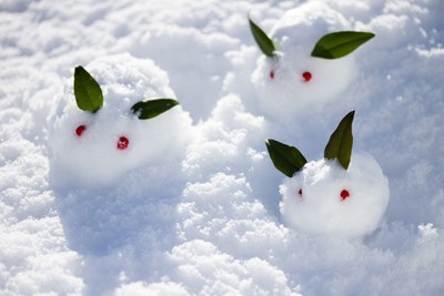 f:id:kzkzab:20250121005628j:image