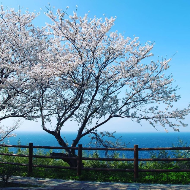 f:id:kzkzab:20250412033305j:image