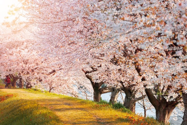 f:id:kzkzab:20250421035902j:image
