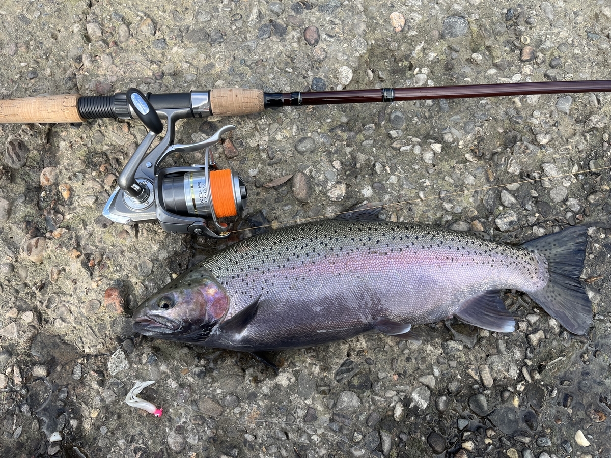 Salmon釣り】初オハイオ釣行。有名リバーでスチールヘッドを狙う