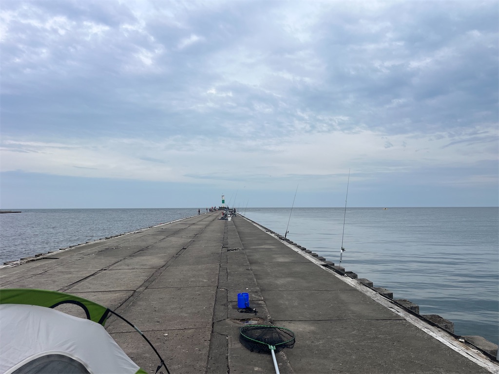 f:id:kzmichigan:20250624101434j:image