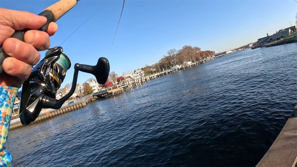 f:id:kzmichigan:20251117113901j:image