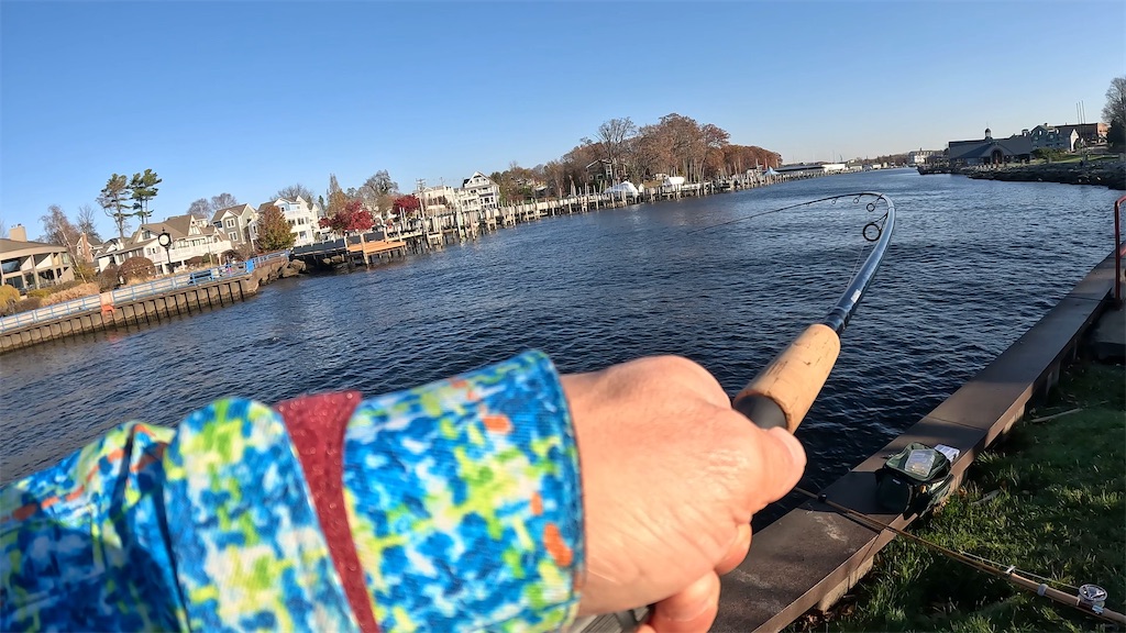 f:id:kzmichigan:20251117114516j:image