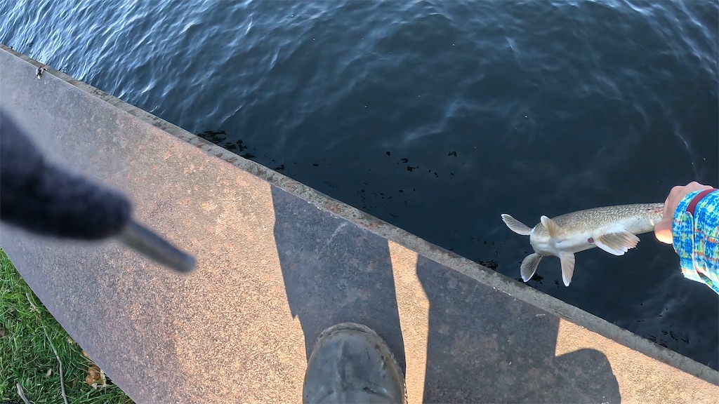 f:id:kzmichigan:20251117115945j:image