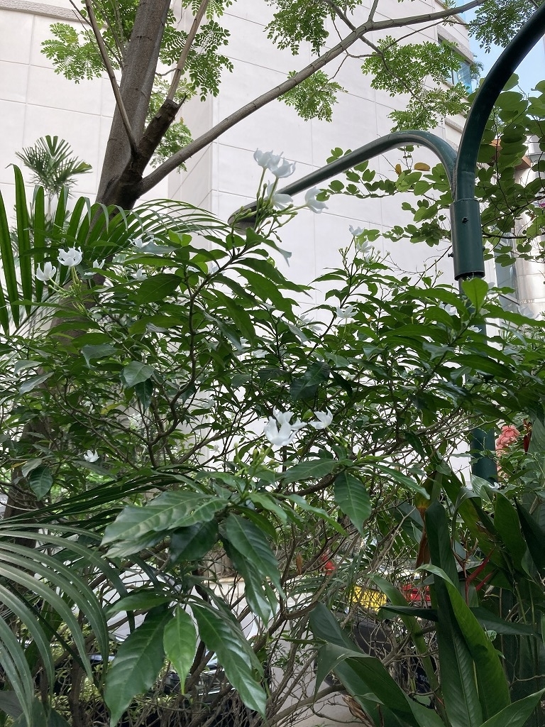 f:id:kznrDiIndonesia:20211025224624j:plain