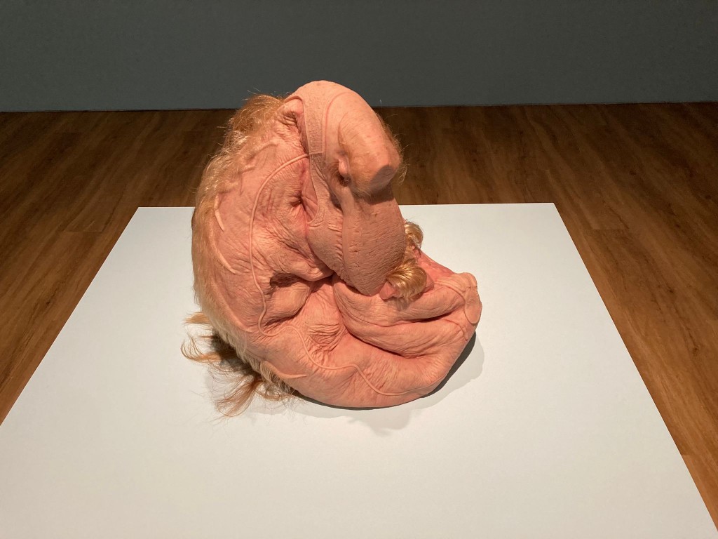 パトリシア・ピッチニーニ｜Patricia Piccinini – Study：大阪