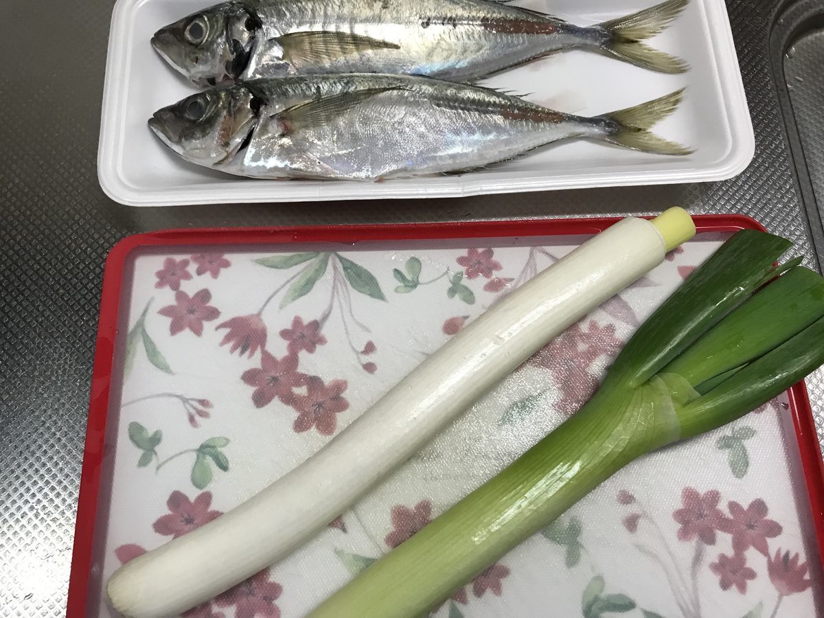 f:id:kzy-style:20190425213008j:plain f:id:kzy-style:20190425213008j:plain