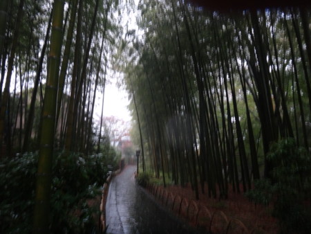 f:id:kzykz:20121117145125j:image f:id:kzykz:20121117145125j:image