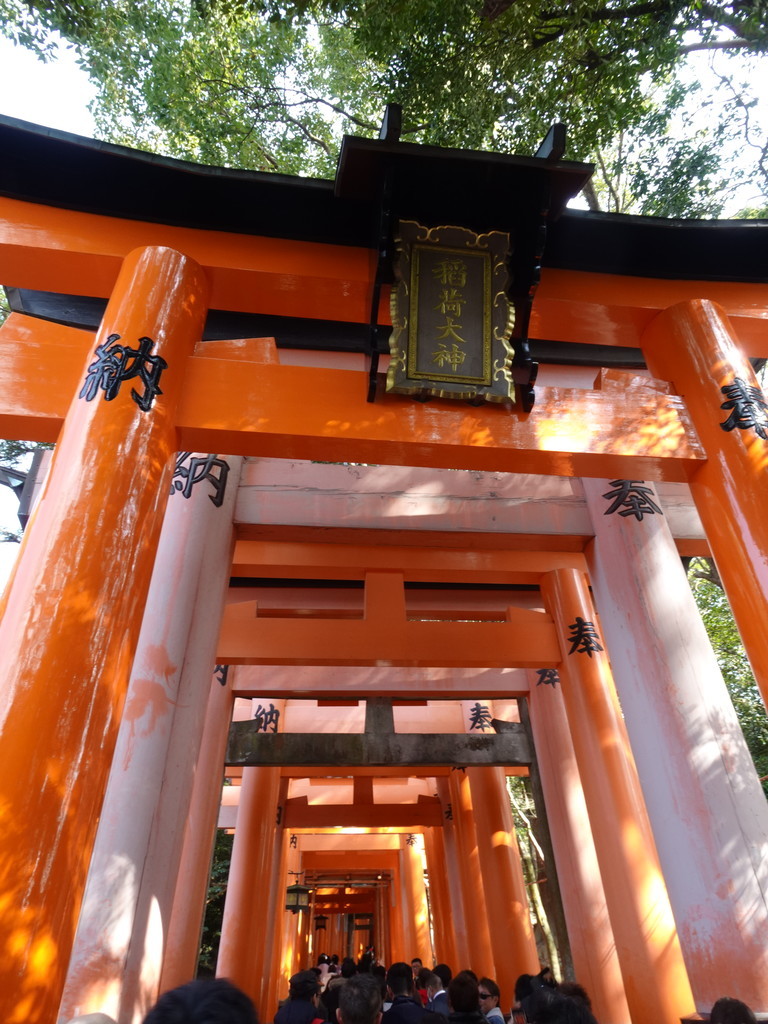 f:id:kzykz:20190302135740j:plain