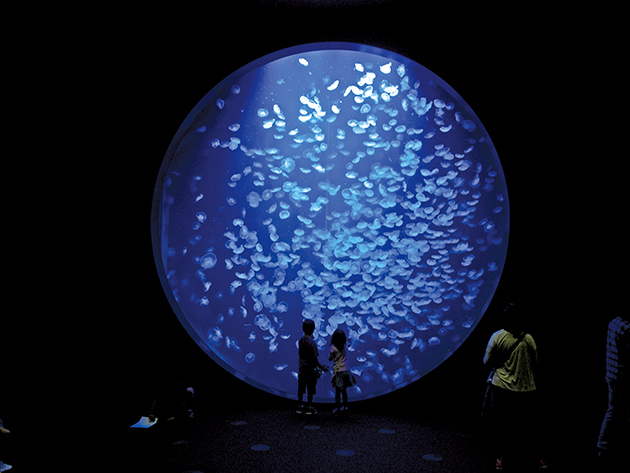 f:id:l-i-t:20200720195345p:plain f:id:l-i-t:20200720195345p:plain