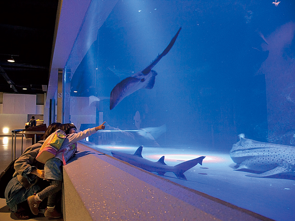 f:id:l-i-t:20200720195627p:plain f:id:l-i-t:20200720195627p:plain