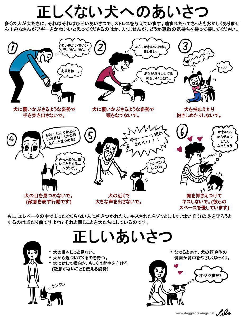 f:id:l-i-t:20210531225431p:plain