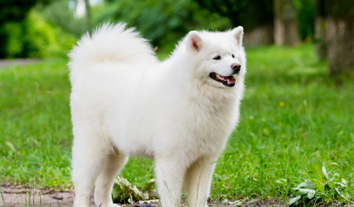 f:id:l-i-t:20210531225816p:plain