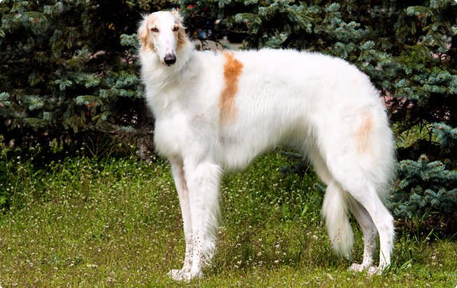 f:id:l-i-t:20210531230228p:plain