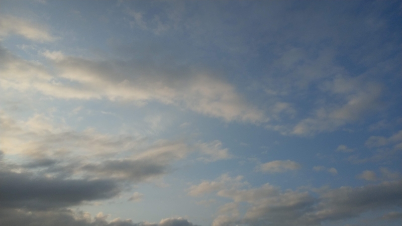 f:id:l-i-t:20210621182450j:plain