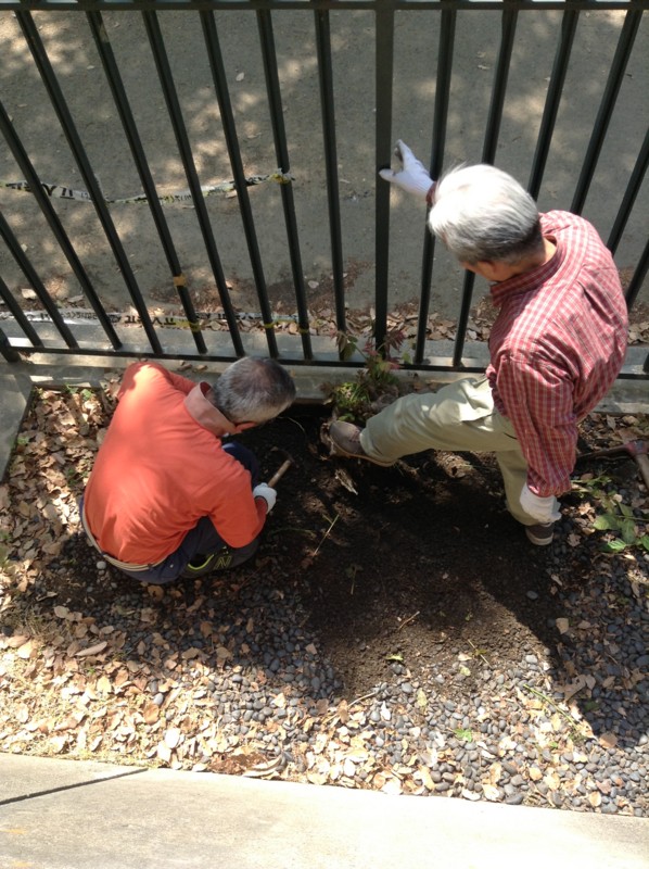 f:id:l-library:20130429101321j:image:w260