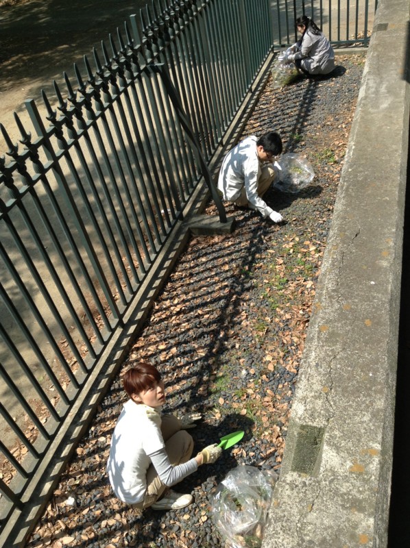 f:id:l-library:20130429101340j:image:w260:left